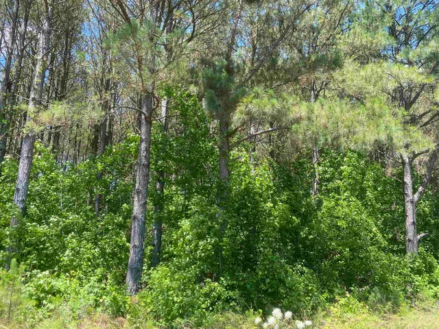 an aerial view of a house with outdoor space swimming pool and lake view