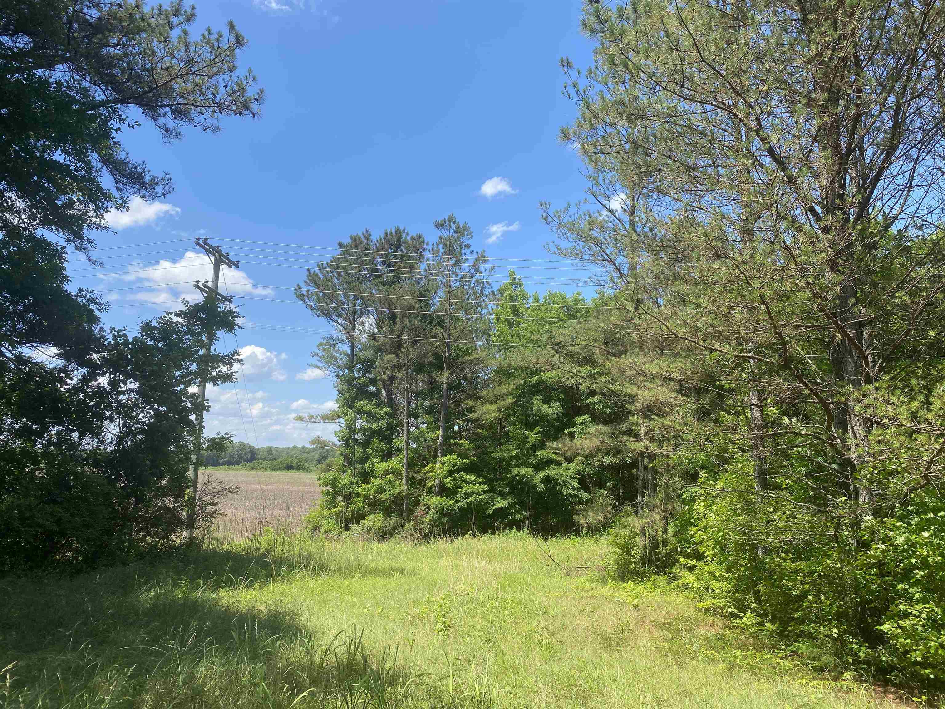 0 Hardin Graveyard Road Morris Chapel, TN 38361 - Photo 5 of 36 a view of a garden