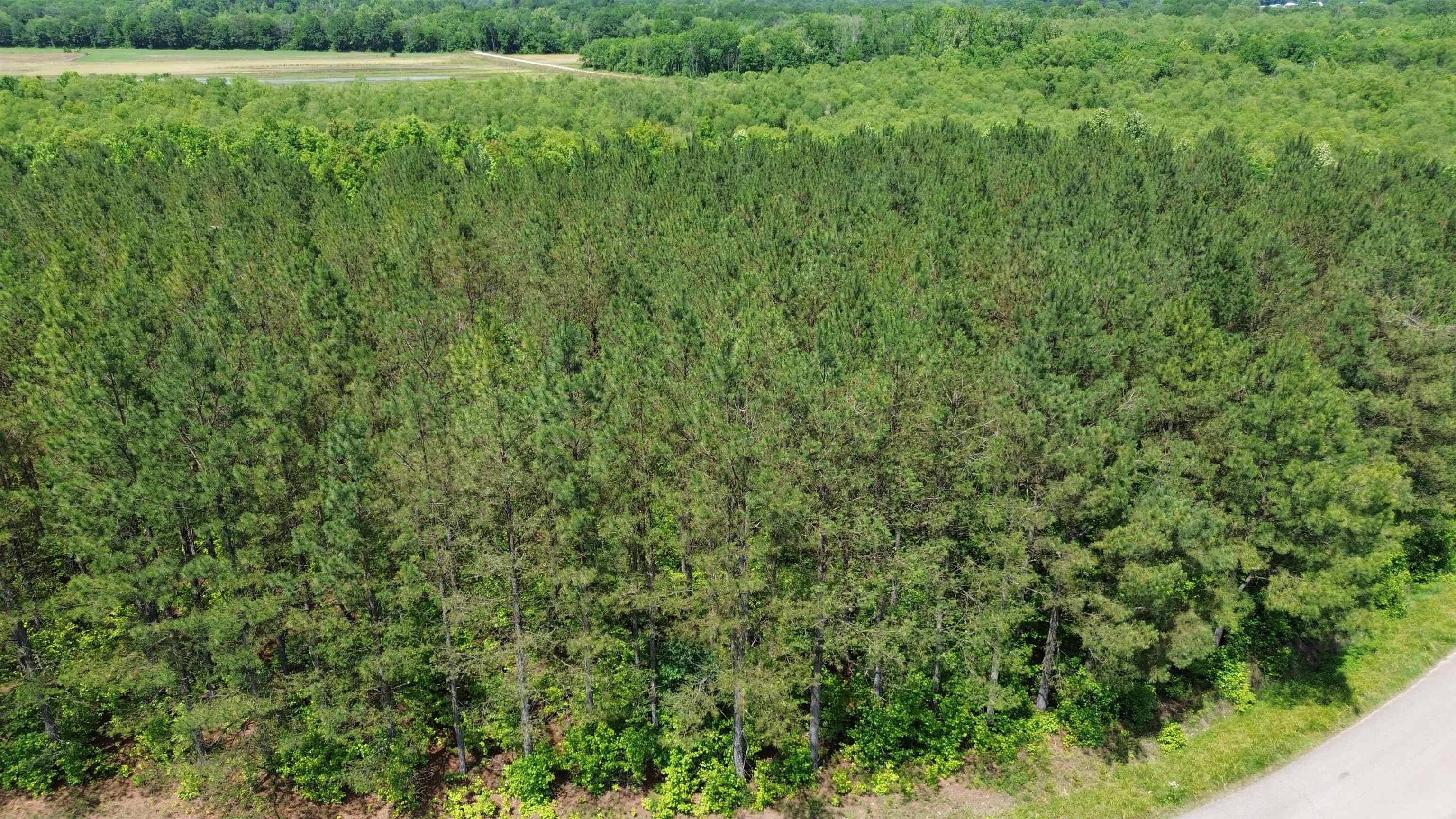0 Hardin Graveyard Road Morris Chapel, TN 38361 - Photo 6 of 36 a view of an outdoor space and a yard