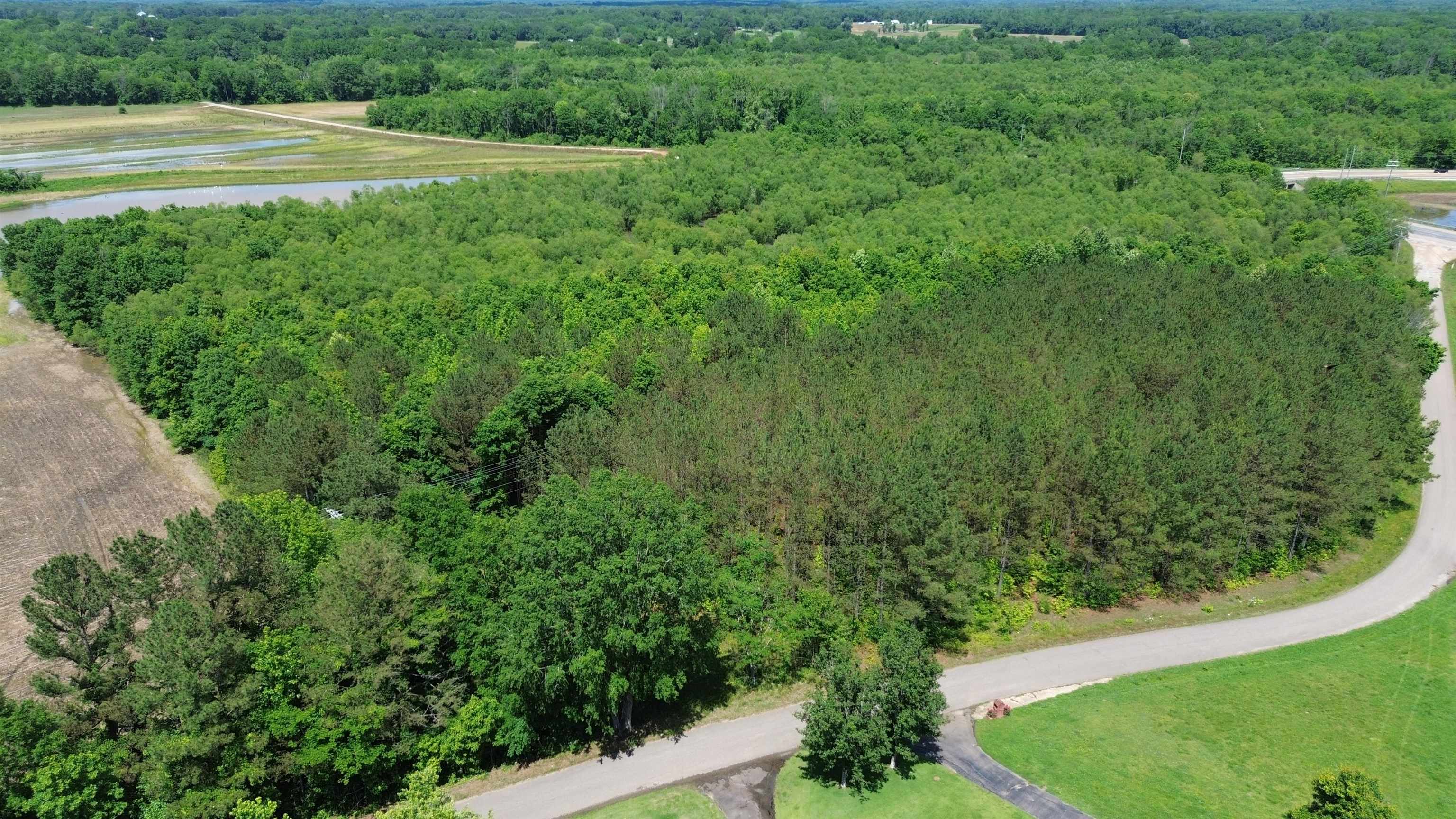 0 Hardin Graveyard Road Morris Chapel, TN 38361 - Photo 7 of 36 a view of a field of grass and trees