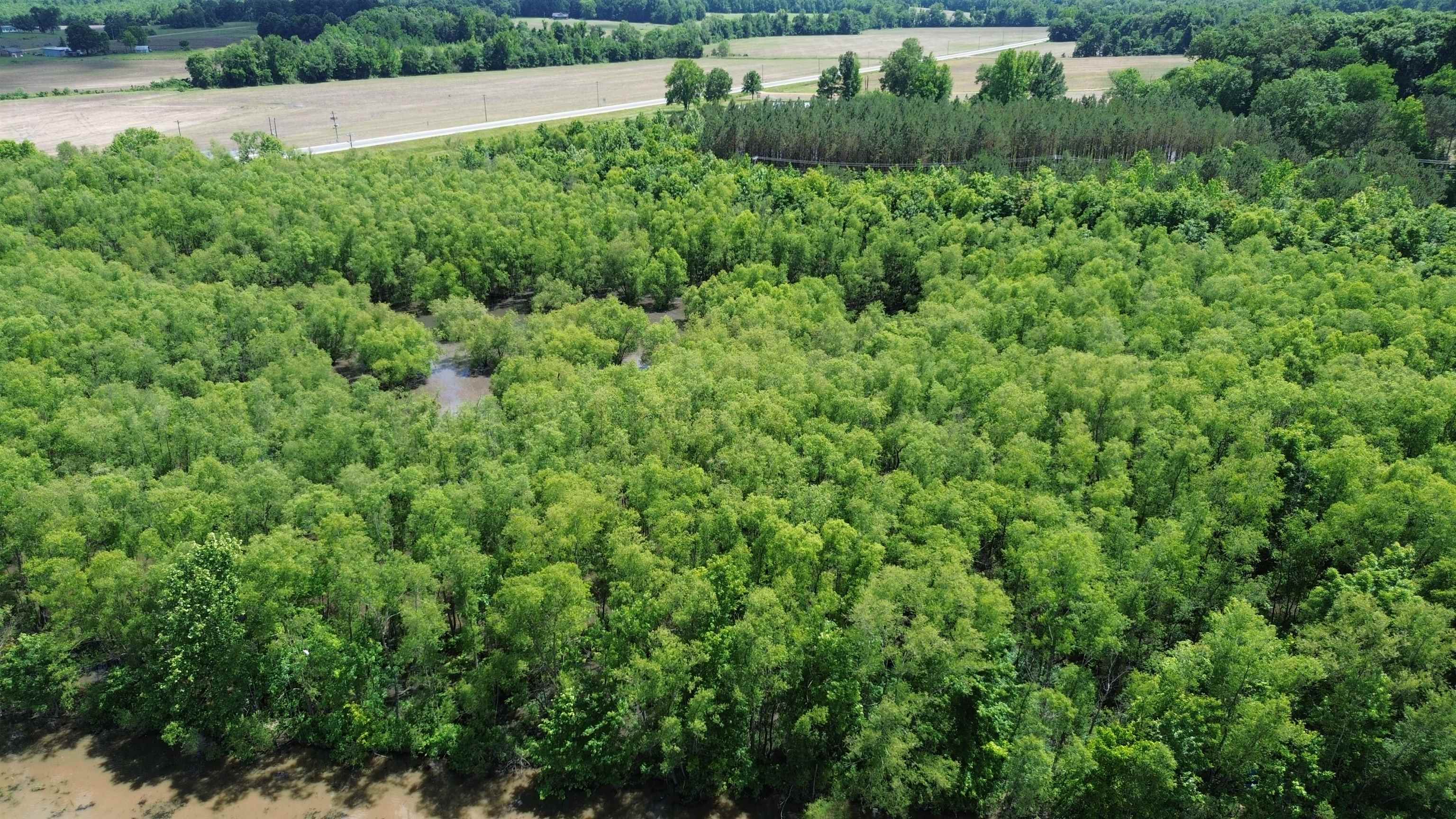 0 Hardin Graveyard Road Morris Chapel, TN 38361 - Photo 8 of 36 an aerial view of residential houses with outdoor space and trees