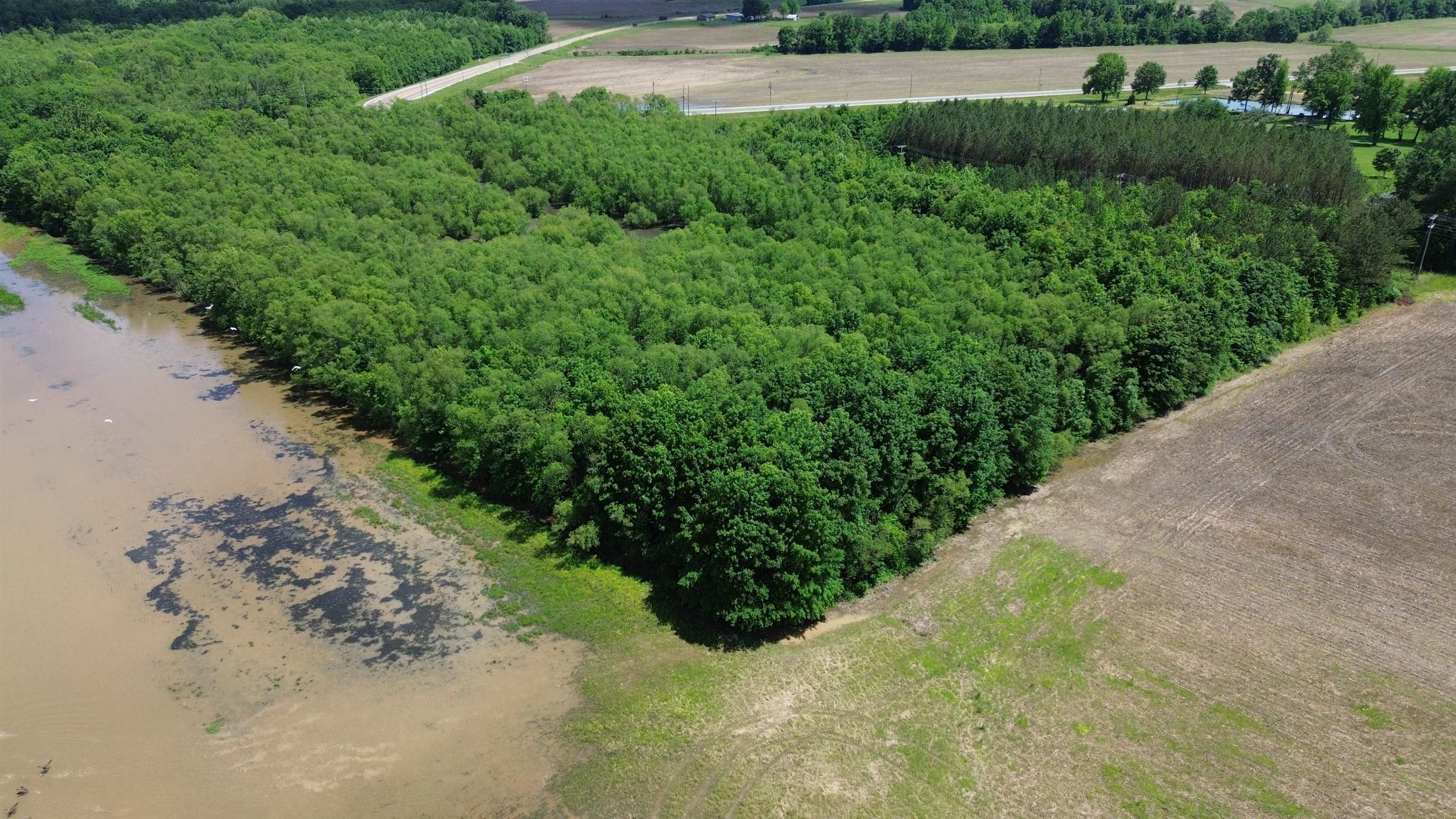 0 Hardin Graveyard Road Morris Chapel, TN 38361 - Photo 10 of 36 a view of a garden with a pathway