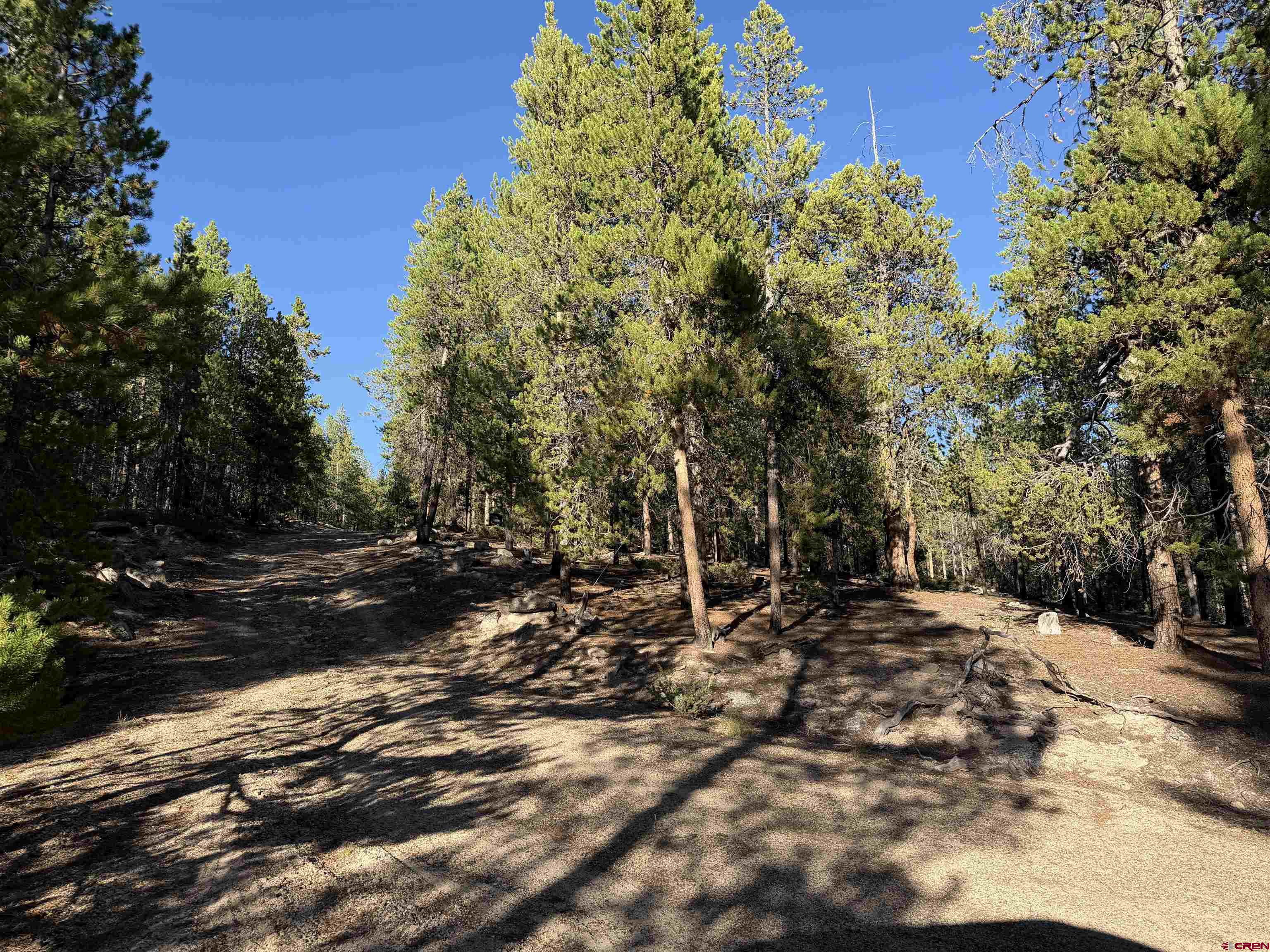 226 Porpenn Road Pitkin, CO 81241 - Photo 29 of 38 Gallery Image 29