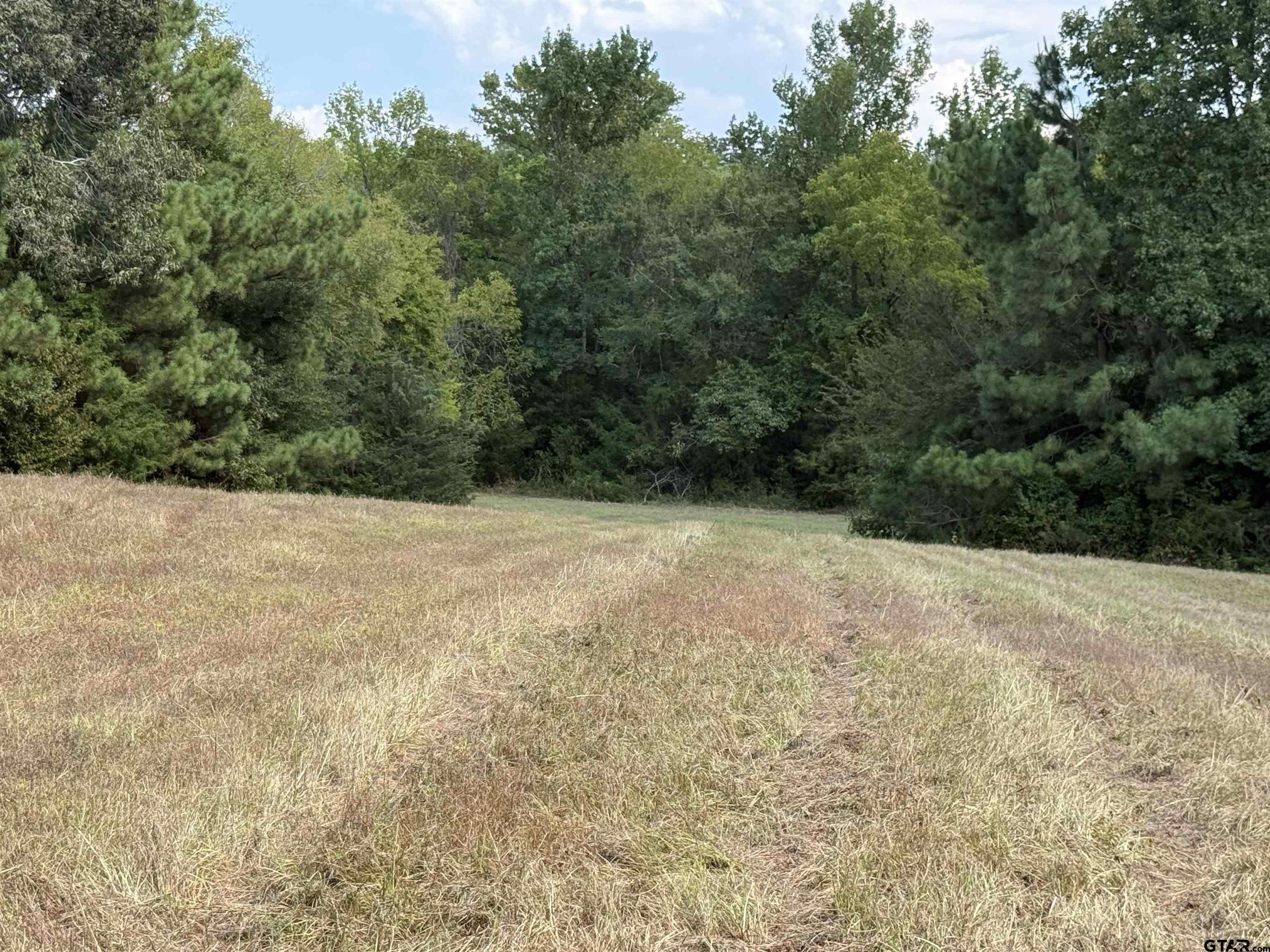 669 Cr 2443 Rusk Tx 75785 Rusk, TX 75785 - Photo 18 of 22 Gallery Image 18