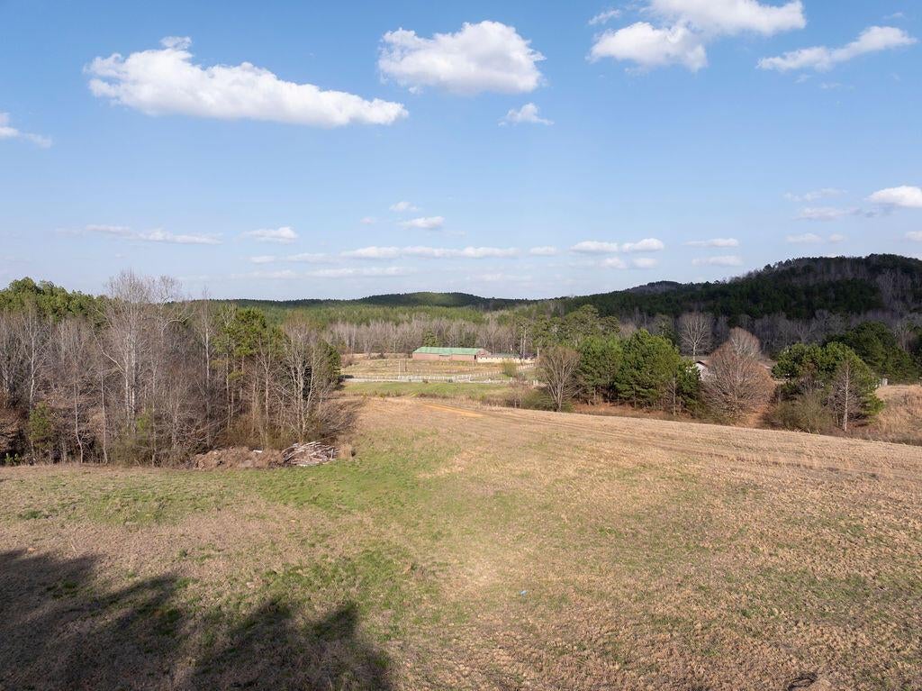 15201 Co Road Carbon Hill, AL 35549 - Photo 13 of 46 Gallery Image 13