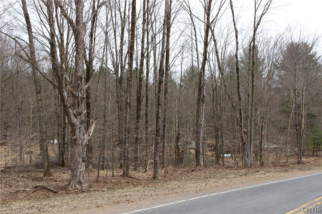 Lot 5 County Rte 17 Constantia, NY 13028 - Photo 1 of 1 Gallery Image 1
