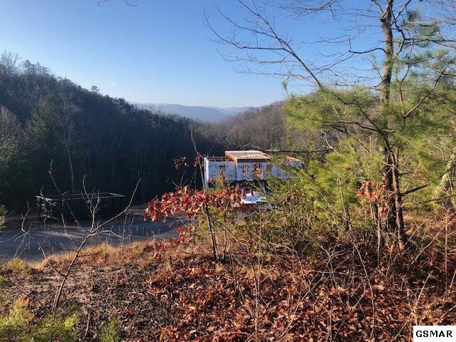 116 Summit Trails Drive Sevierville, TN 37862 - Photo 3 of 13