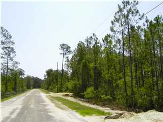 Lot 29 Mandy Circle Santa Rosa Beach, FL 32459 - Photo 1 of 1 Gallery Image 1