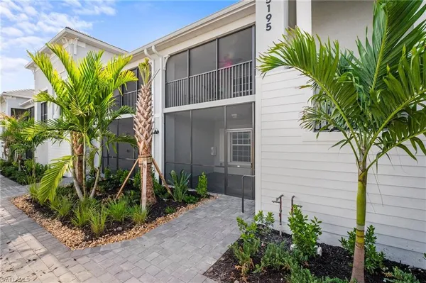 a plant is in front of a house