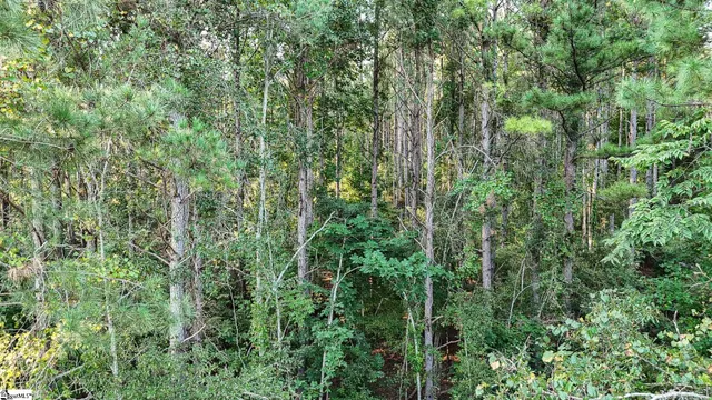 $175,000 | 1 Jefferson Davis Road, Mountville, SC 29370