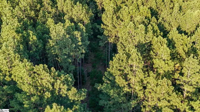 $175,000 | 1 Jefferson Davis Road, Mountville, SC 29370