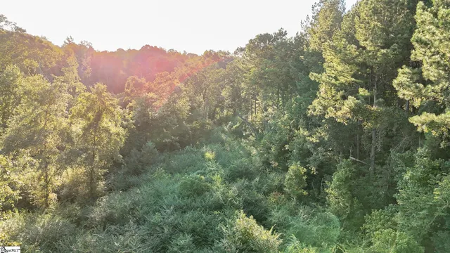 $175,000 | 1 Jefferson Davis Road, Mountville, SC 29370