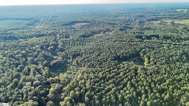 $175,000 | 1 Jefferson Davis Road, Mountville, SC 29370