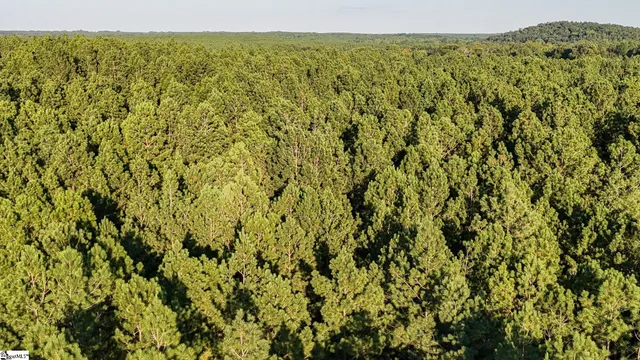 $175,000 | 1 Jefferson Davis Road, Mountville, SC 29370