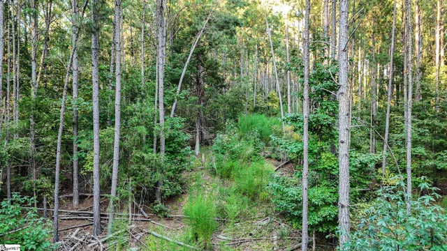 $175,000 | 1 Jefferson Davis Road, Mountville, SC 29370