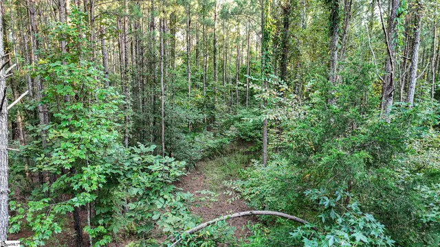 $175,000 | 1 Jefferson Davis Road, Mountville, SC 29370