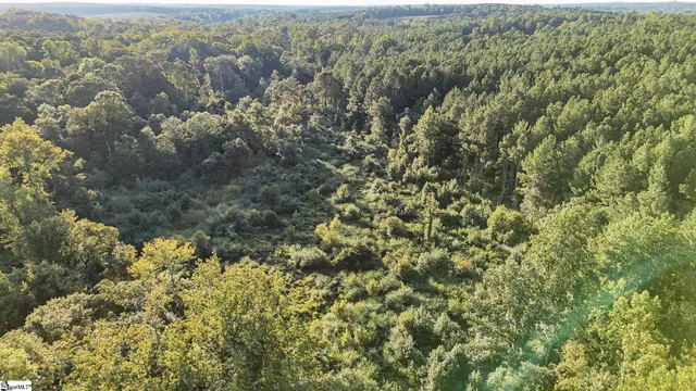 $175,000 | 1 Jefferson Davis Road, Mountville, SC 29370