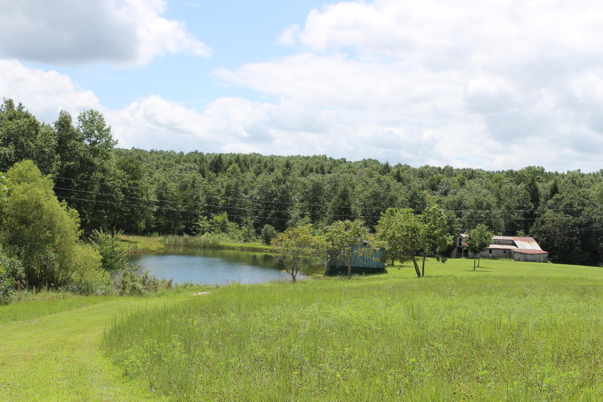 1326 Virgil Beaty Road Clarkrange, TN 38553 - Photo 2 of 26 Gallery Image 2