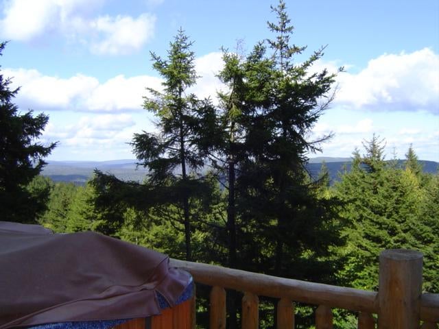 13 Loggers Run Slatyfork, WV 26209 - Photo 4 of 16 deck and hot tub