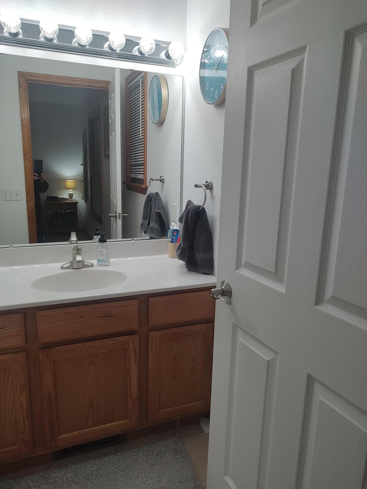 9710 Monroe Road St. Helen, MI 48656 - Photo 20 of 37 bathroom (5)