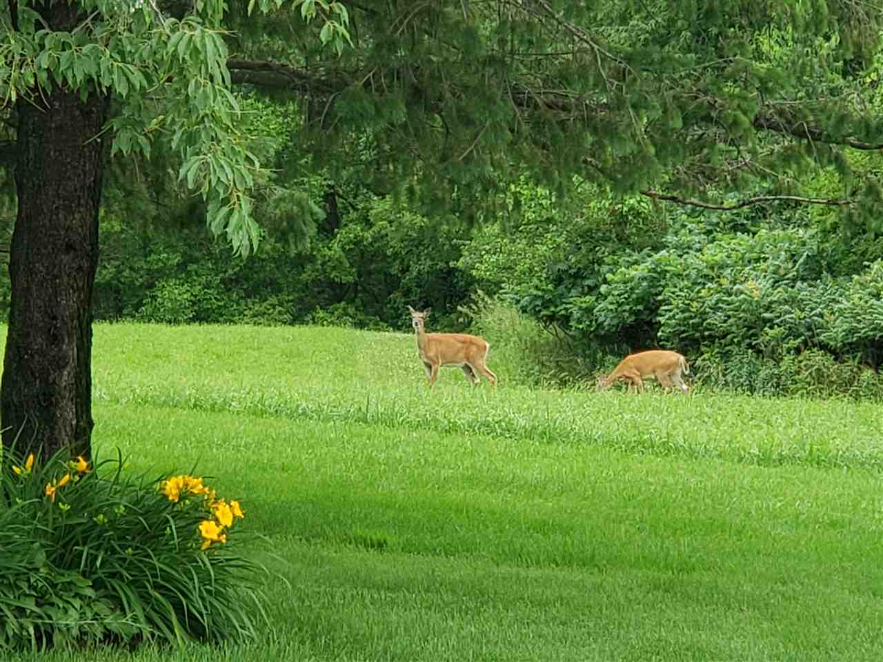 2585 Quincy Road Northeast Solon, IA 52333 - Photo 46 of 48 Gallery Image 46