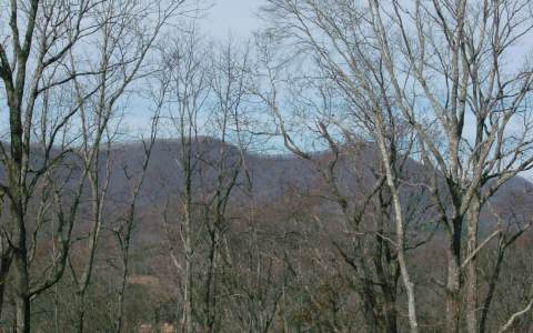 Quail Run Ridge Murphy, NC 28906 - Photo 1 of 1 Main View