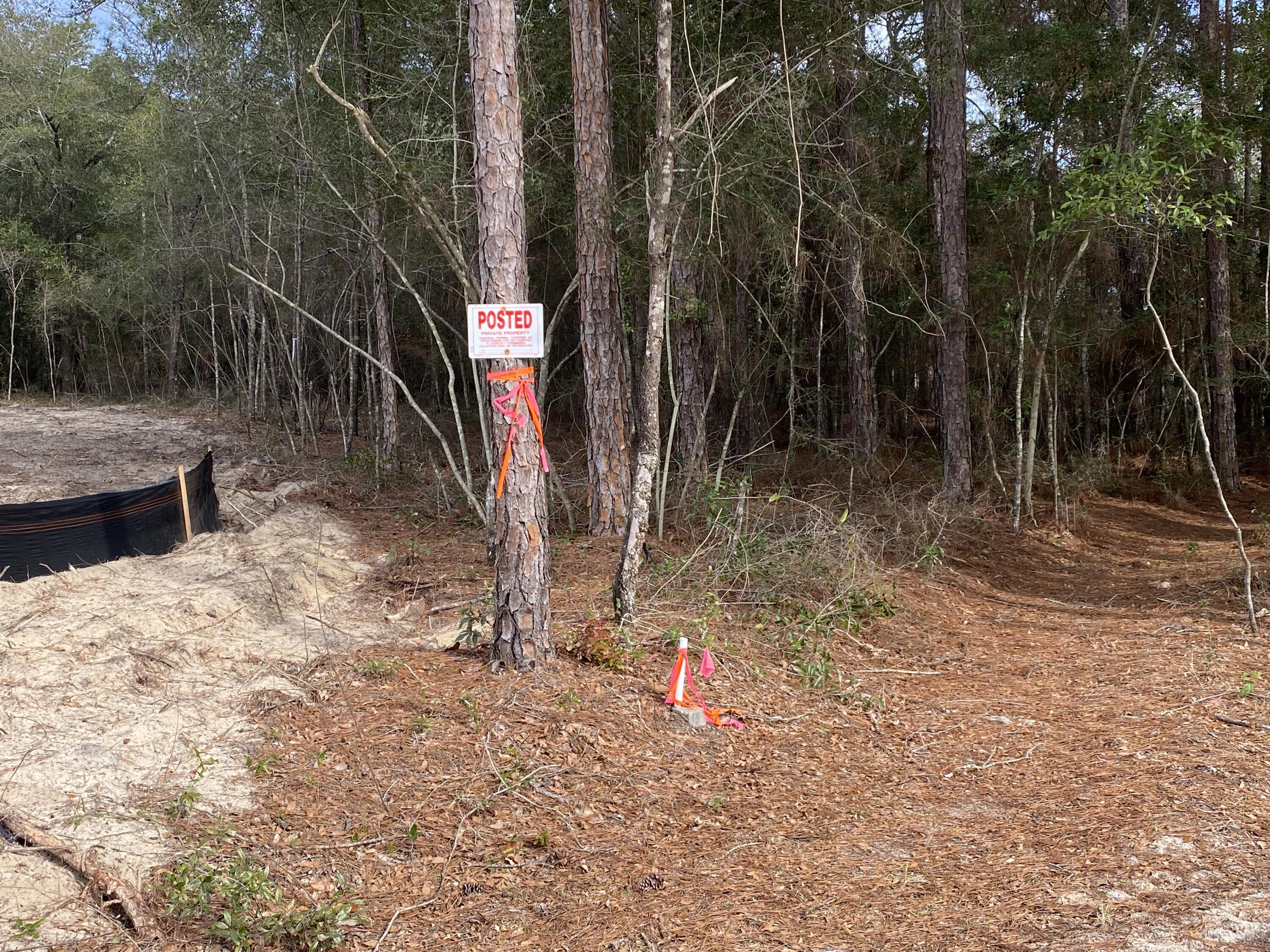 Lot 4 Beasley Road DeFuniak Springs, FL 32433 - Photo 1 of 13 a backyard of a house with lots of green space