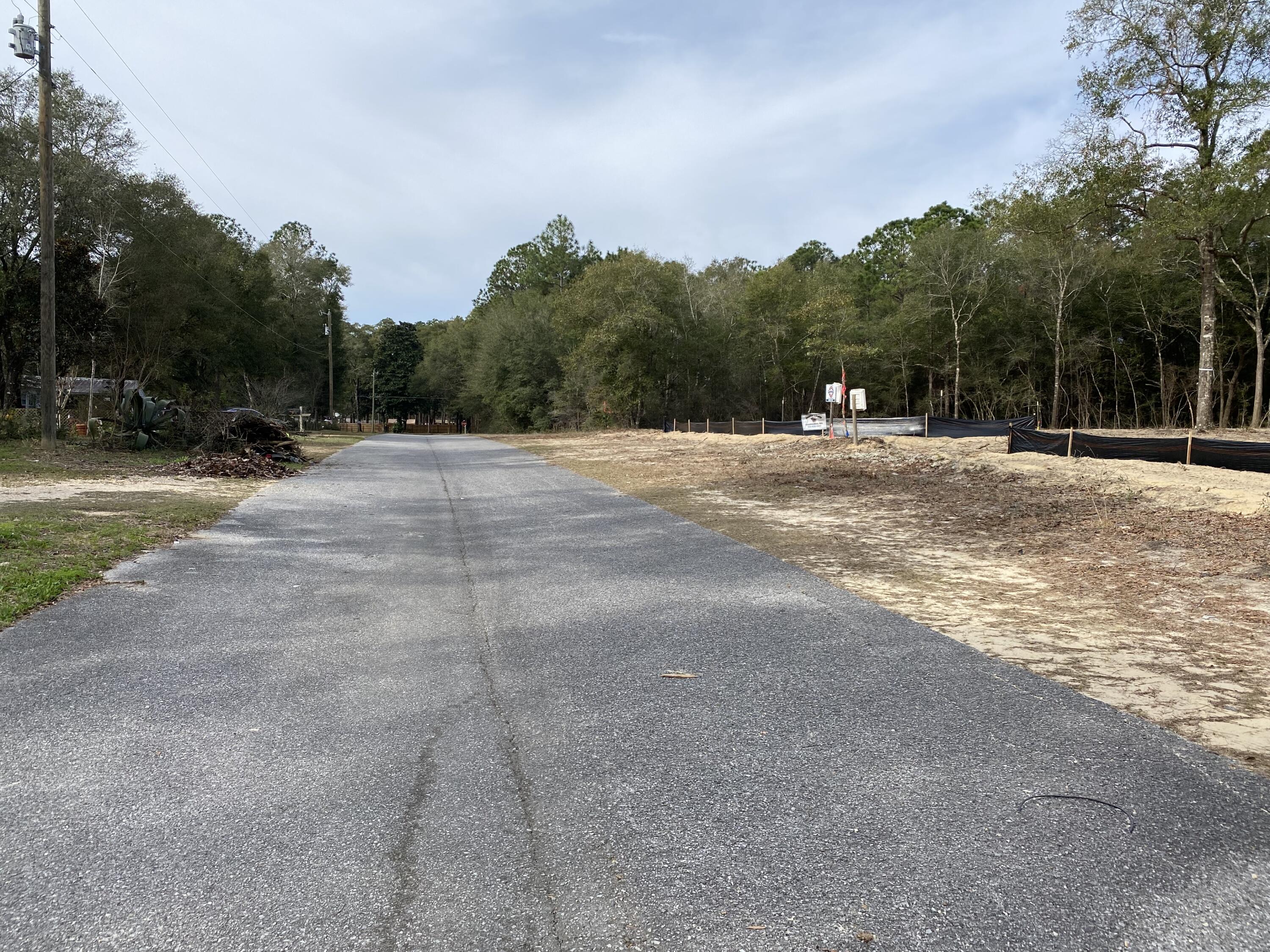 Lot 4 Beasley Road DeFuniak Springs, FL 32433 - Photo 7 of 13 a view of a yard with a large trees