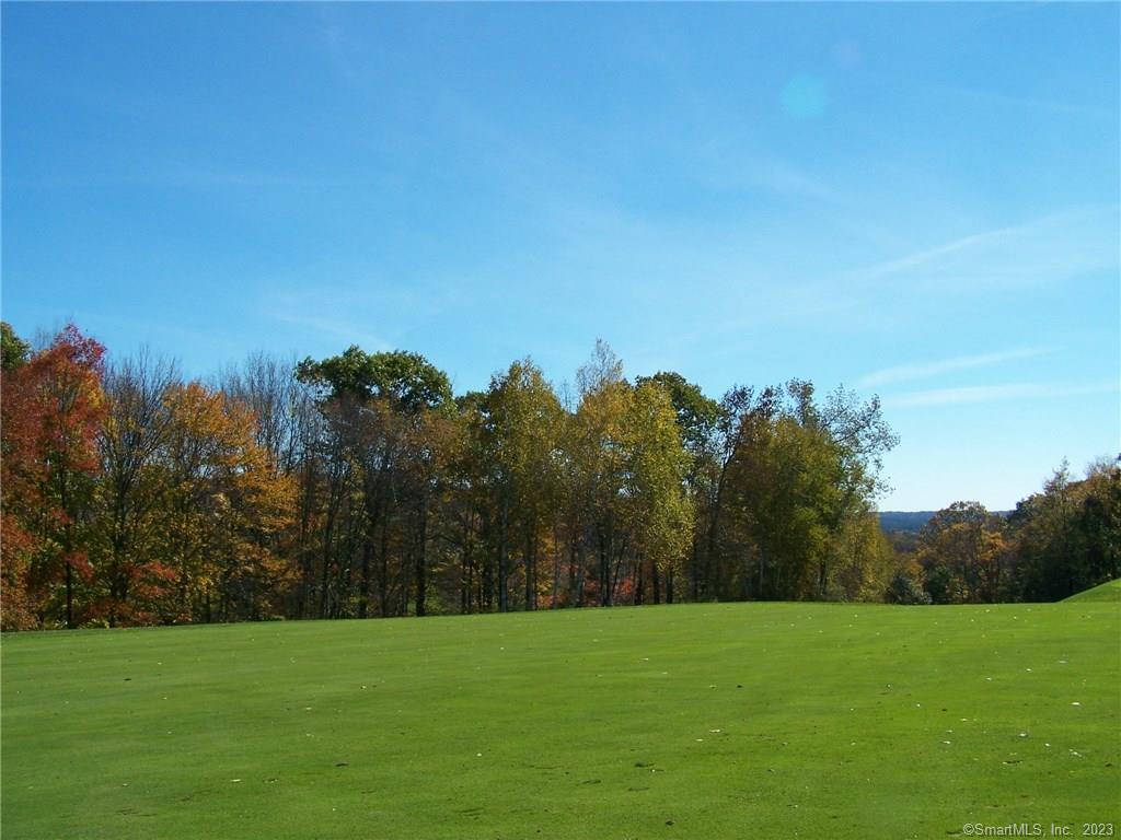 259 Milton Road Litchfield, CT 06759 - Photo 1 of 1 a view of a grassy field with trees in the background