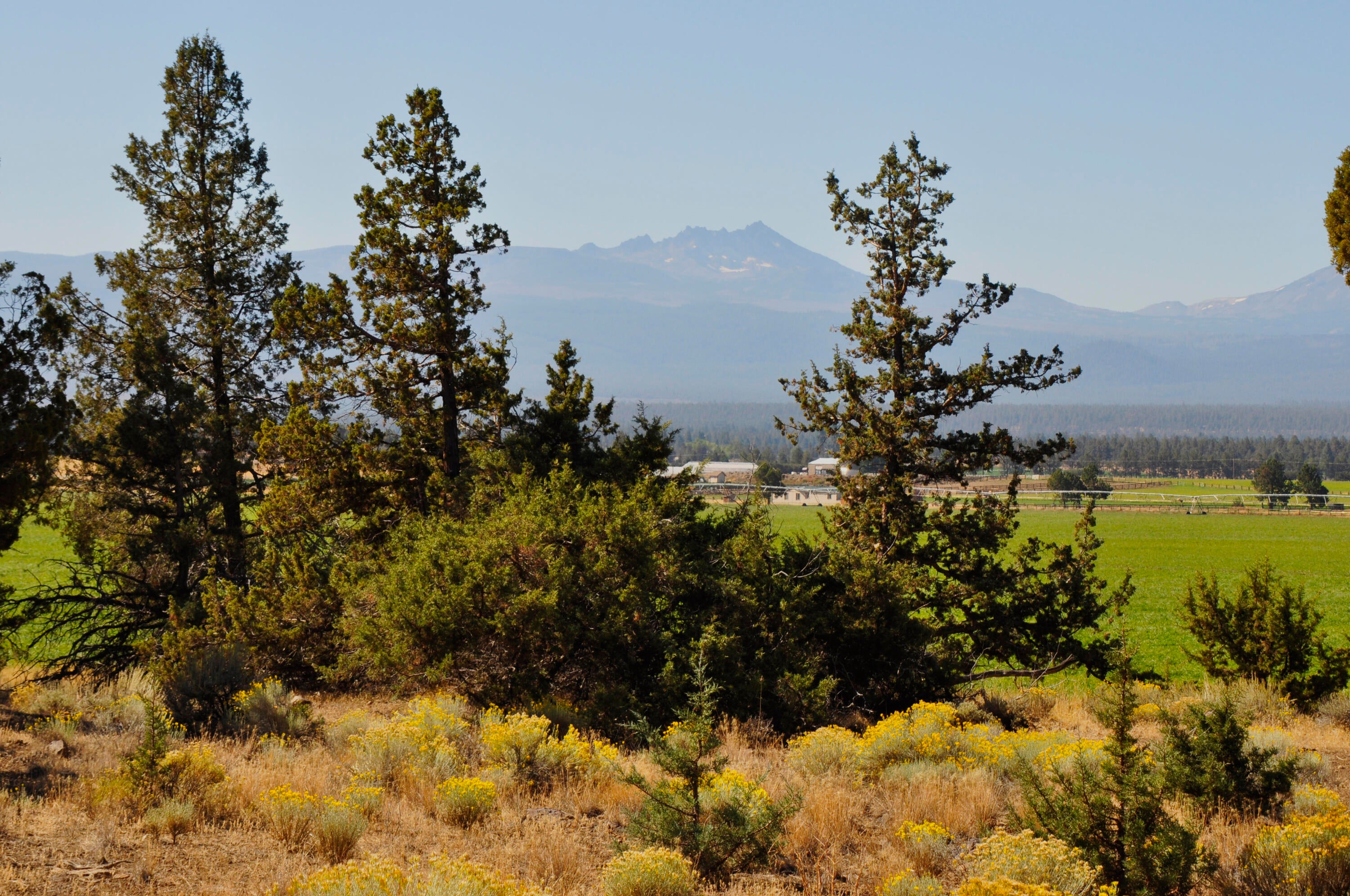 68755 Fryrear Road Sisters, OR 97759 - Photo 6 of 30 _DSC0583_AF