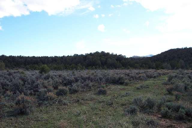 Tbd South Cedar Springs Ranch Road Rifle, CO 81650 - Photo 1 of 1 Primary Photo