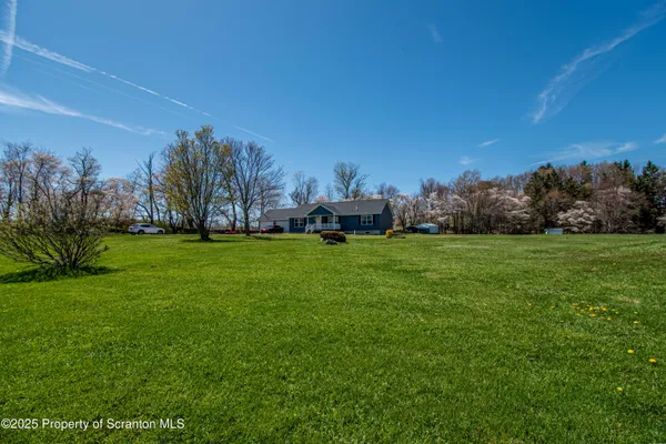 a view of a grassy field with trees in the background