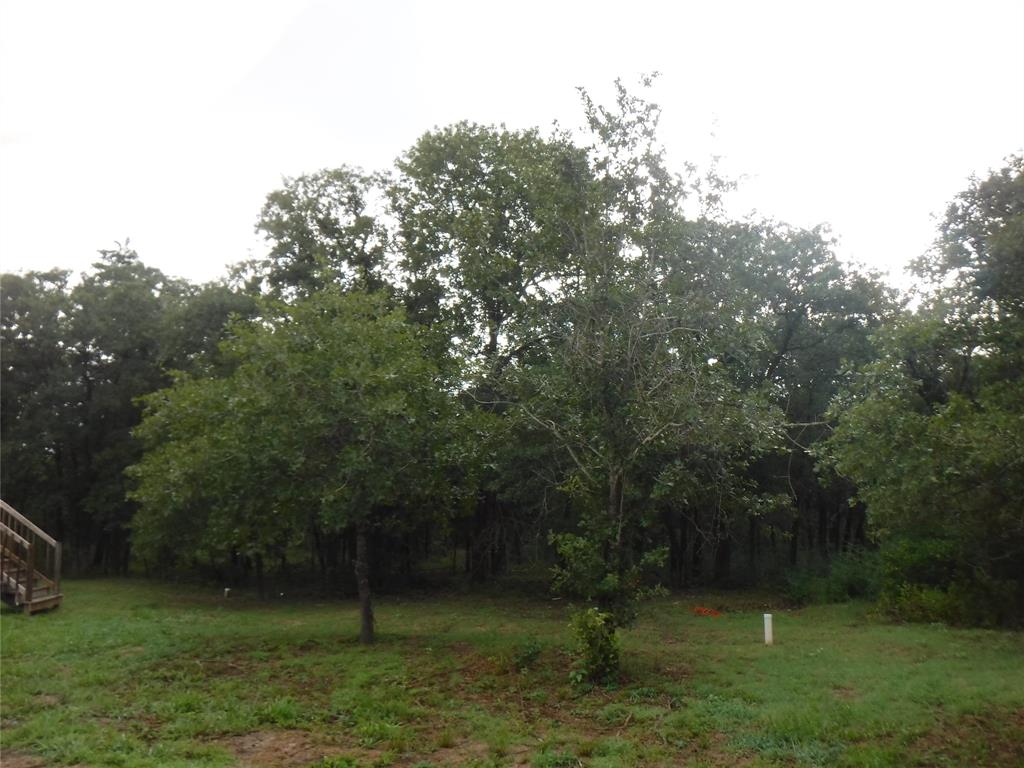 191 Hickory Lane Elgin, TX 78621 - Photo 16 of 18 A verdant parcel of land unfolds, framed by a dense canopy of mature trees, offering a private setting.