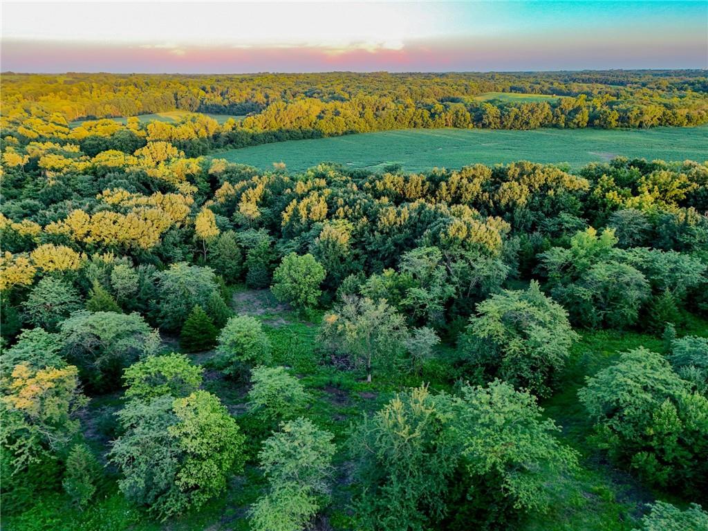 888 Southeast Offutt Road Maysville, MO 64469 - Photo 10 of 15