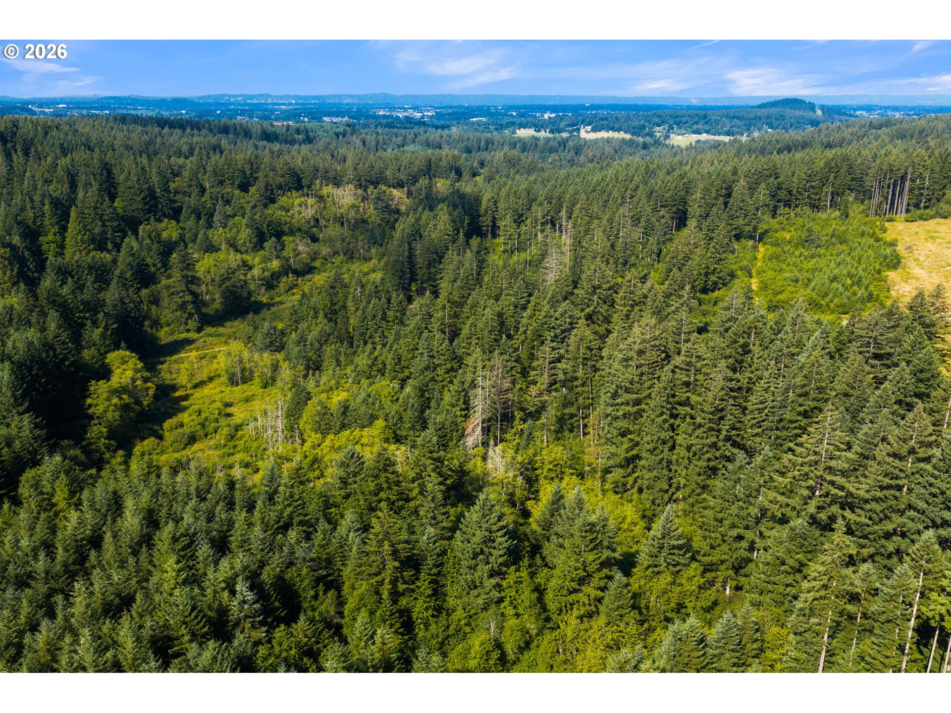 3832 Northeast Cavitt Road Camas, WA 98607 - Photo 26 of 44