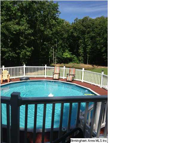 107 Chestnut Drive Alabaster, AL 35007 - Photo 29 of 32