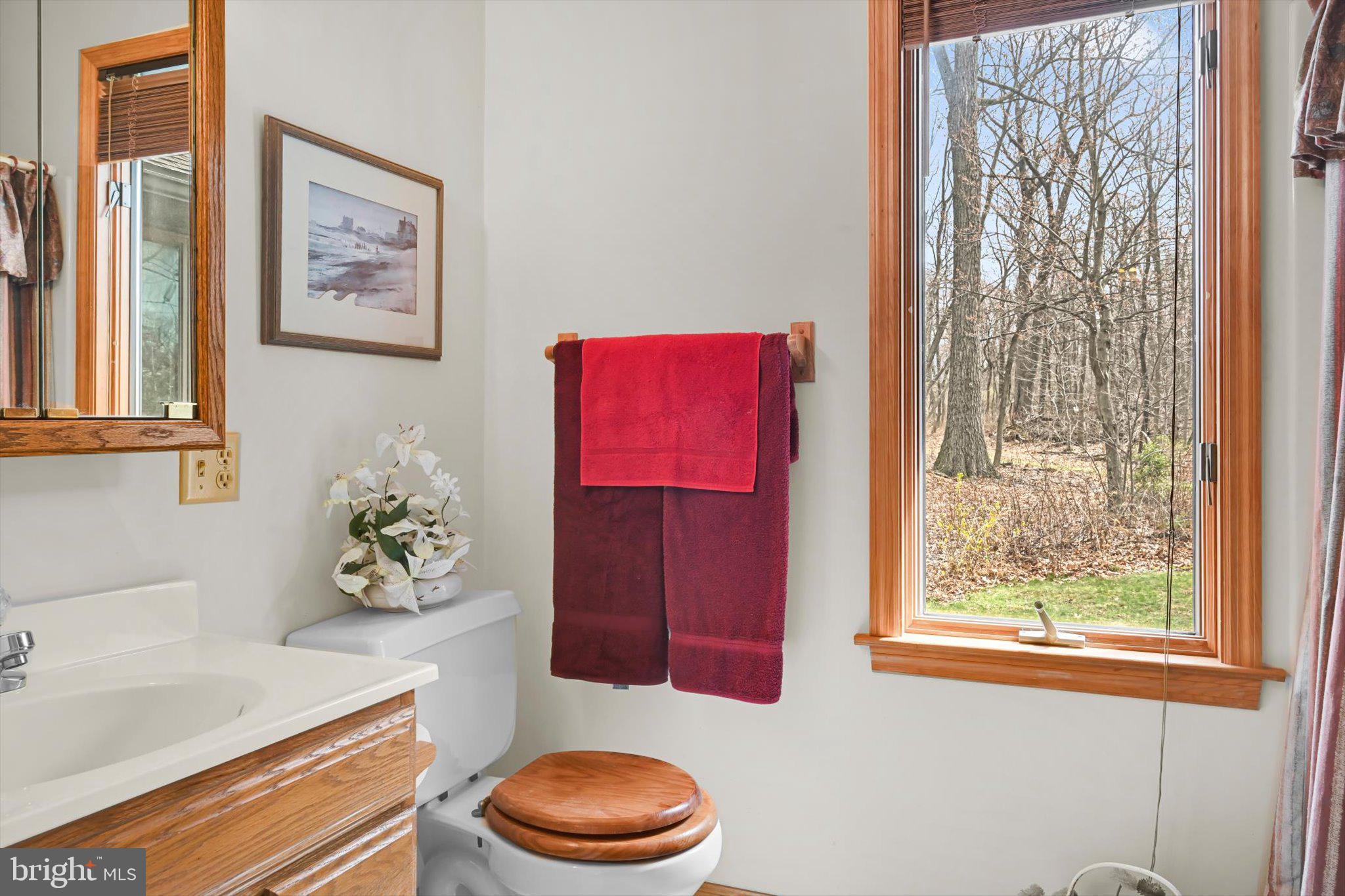 418 Mountainside Road Temple, PA 19560 - Photo 31 of 37