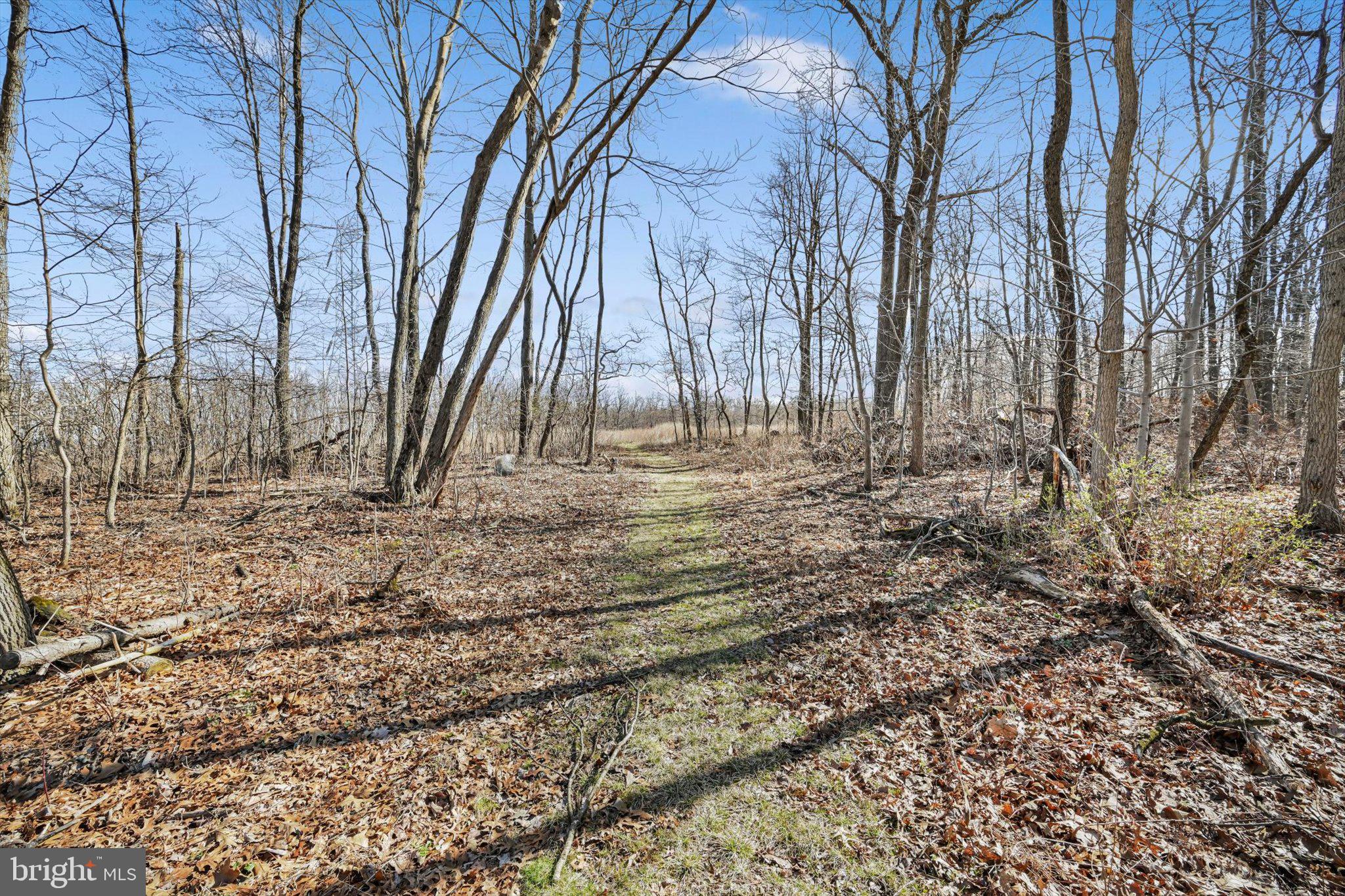 418 Mountainside Road Temple, PA 19560 - Photo 4 of 37