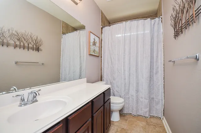 a bathroom with a sink a toilet and shower curtain