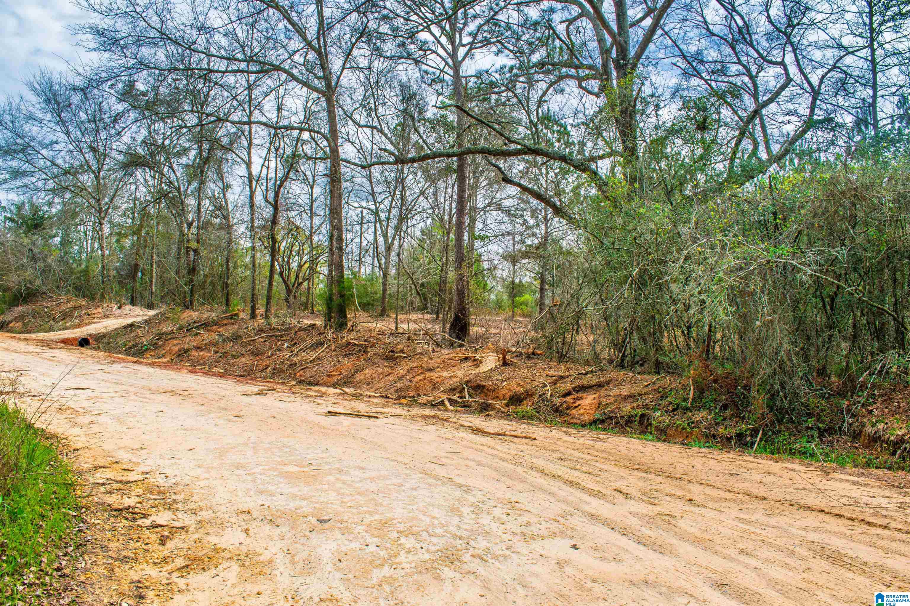 27180 Deer Run Road Opp, AL 36467 - Photo 45 of 60