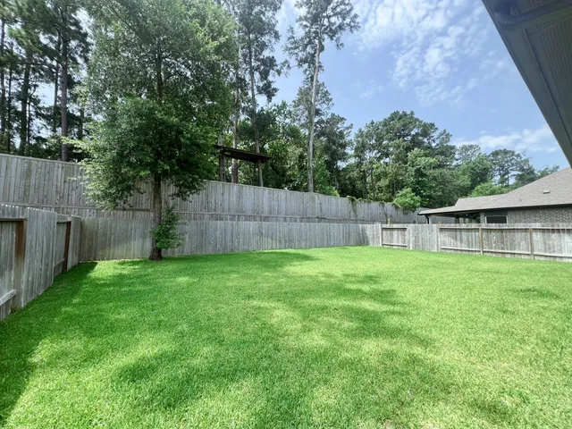 a view of a yard with a large tree and a wooden fence
