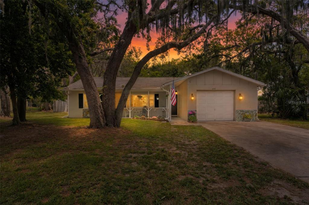6337 Radford Street Spring Hill, FL 34606 - Photo 8 of 41