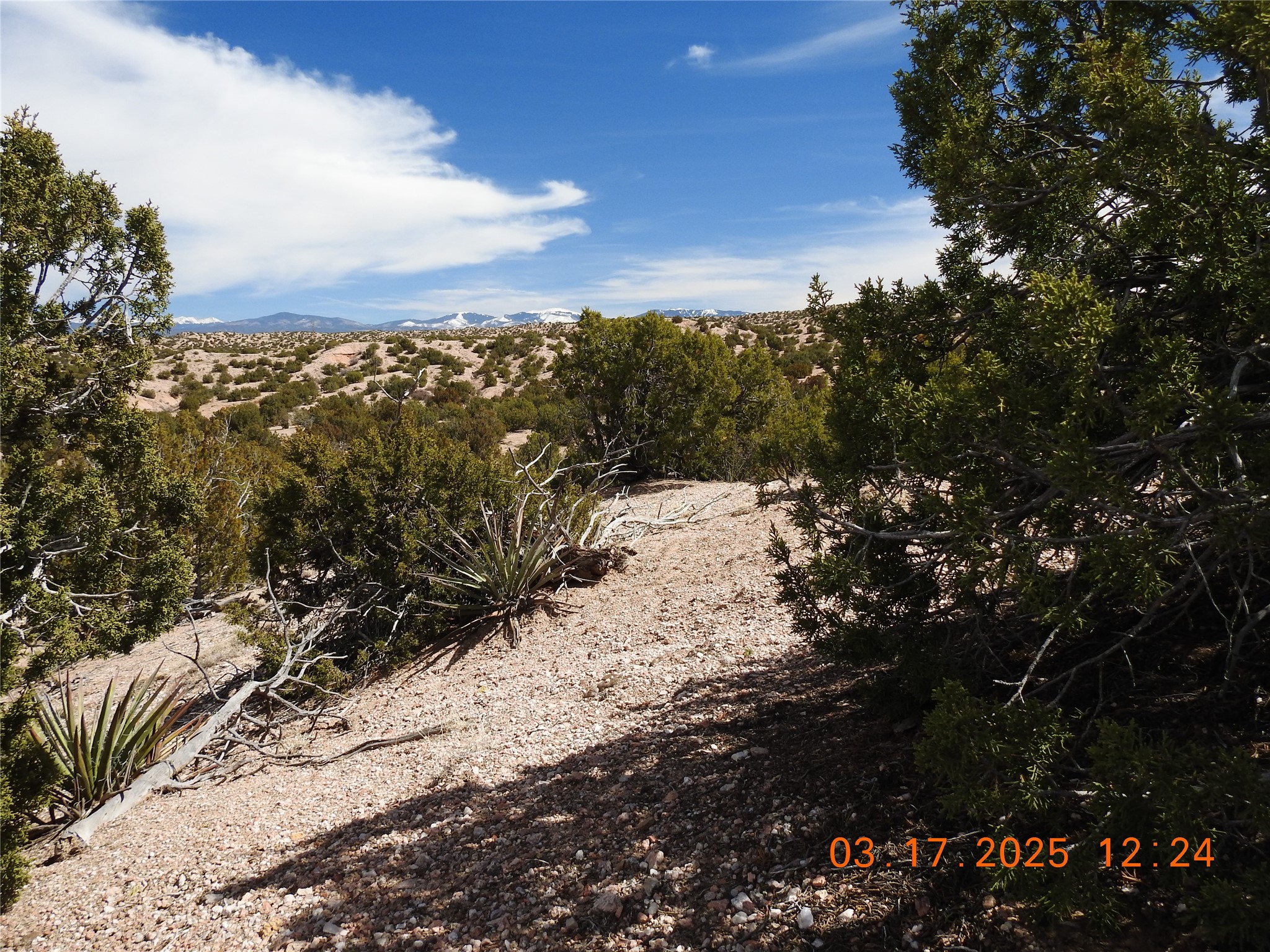 0 Wildass Road Santa Fe, NM 87506 - Photo 19 of 26