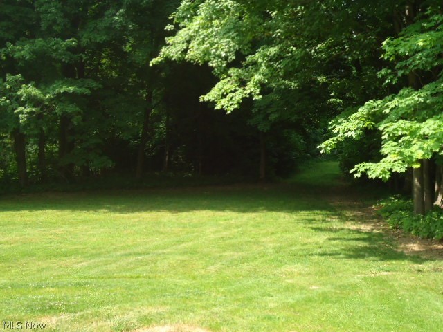 10725 Prouty Road Painesville, OH 44077 - Photo 11 of 21 Gallery Image 11