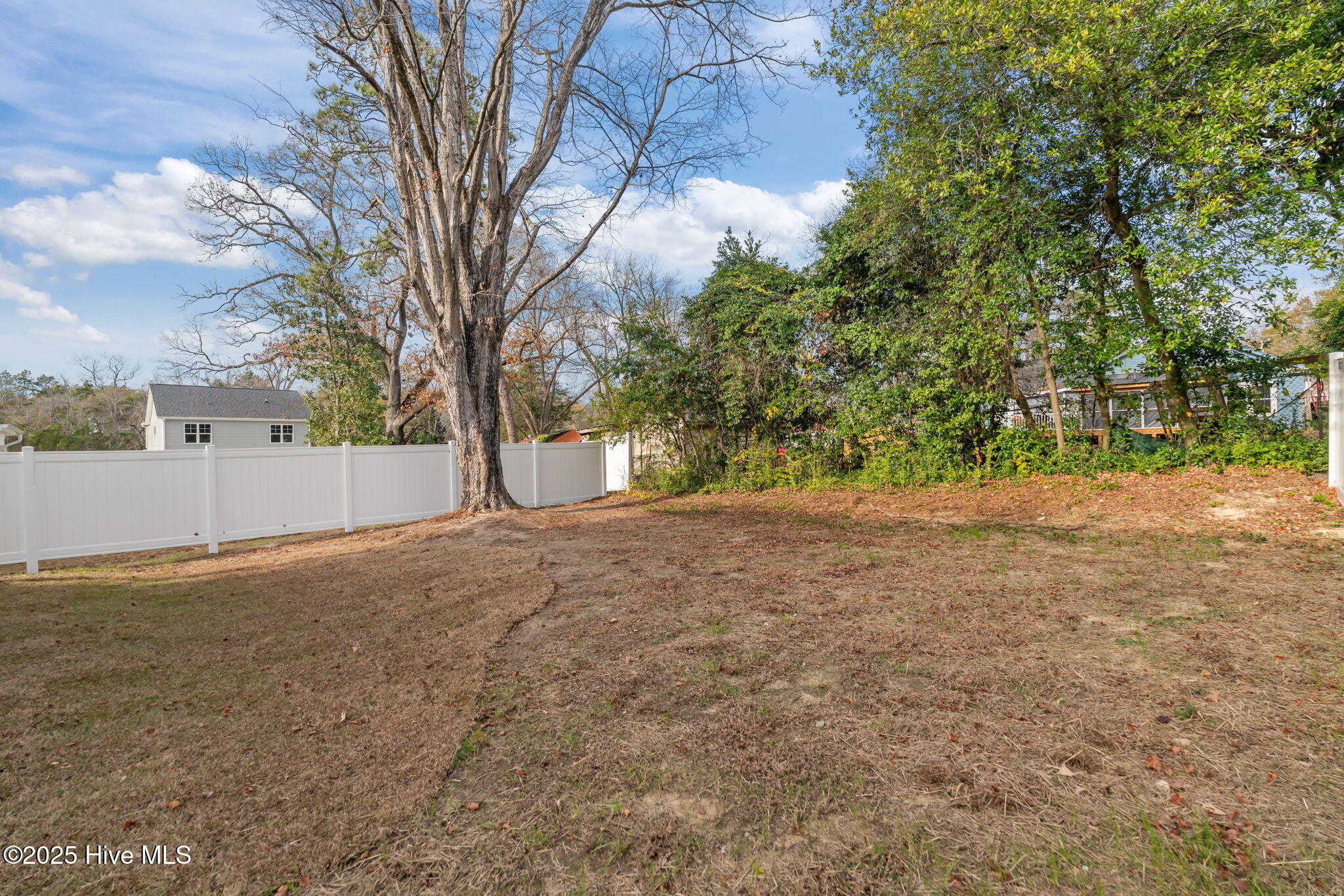 408 Summit Street Aberdeen, NC 28315 - Photo 32 of 37 45-web-or-mls-DSC08017