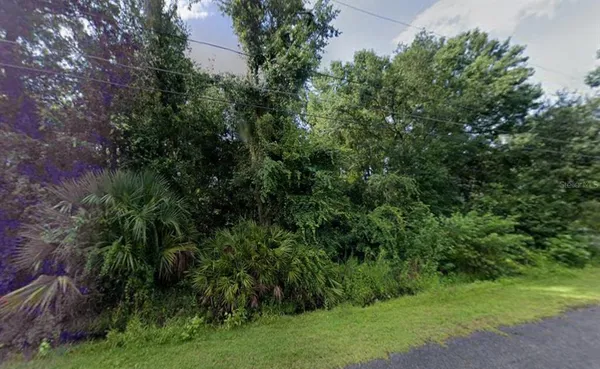 a view of a garden