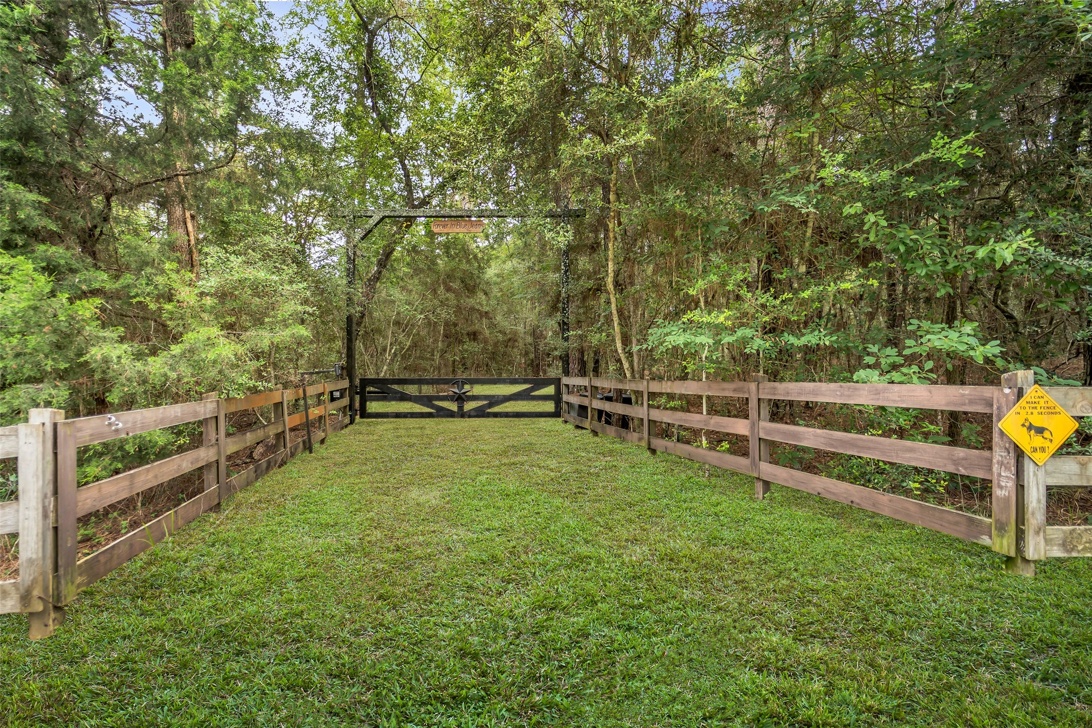 16338 Grand Flower Road Plantersville, TX 77363 - Photo 25 of 25