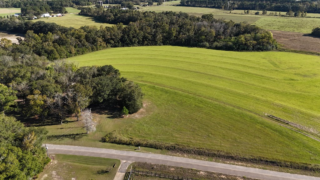 Lot 4 Battles Road Dothan, AL 36301 - Photo 2 of 5