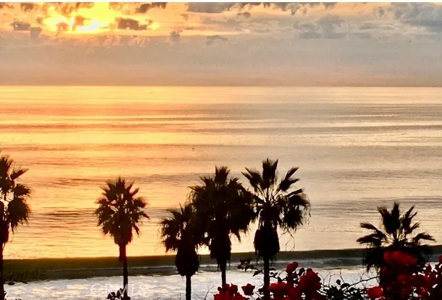 a view of a city with a lot of sunset