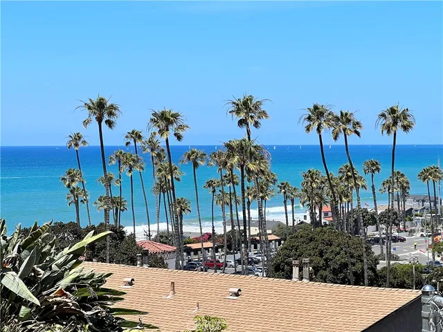 a view of a park with palm trees